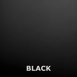 RAL9005-BLACK