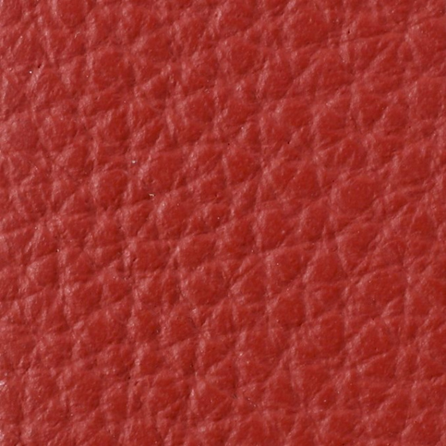 ANILINA LEATHER - PARROT - 247