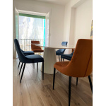 LIDIA chair with orange velvet upholstery and black legs