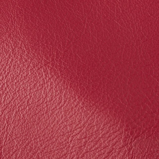 Smooth Anilina Leather - 7700