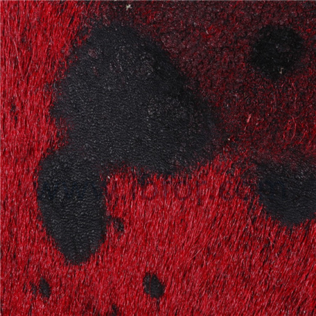 CABALLITO - RED-BLACK